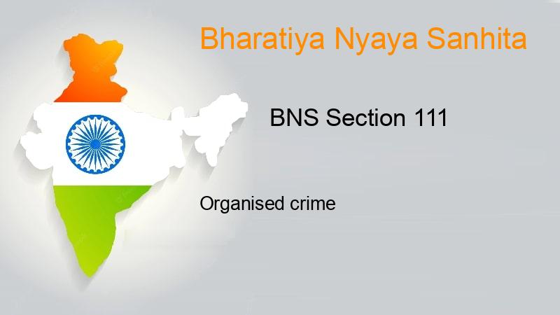 BNS Section 111