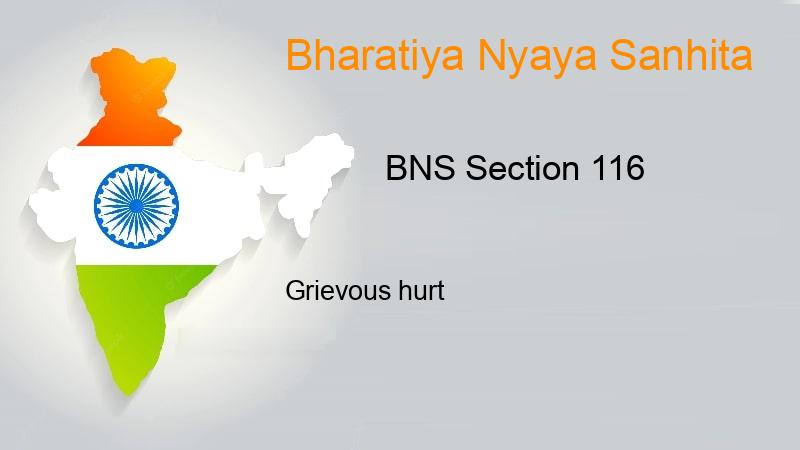 BNS Section 116