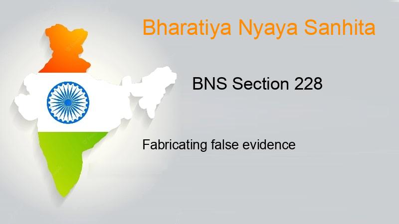 BNS Section 228