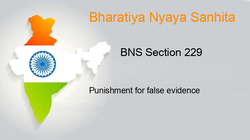 BNS Section 229