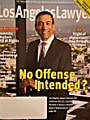 One of the best Advocates & Lawyers in Los Angeles - Advocate Dariush G. Adli
